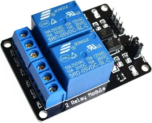 [B10D] 2 Channel Relay Module